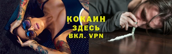 ГАЛЛЮЦИНОГЕННЫЕ ГРИБЫ Армянск