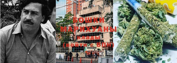 ГАЛЛЮЦИНОГЕННЫЕ ГРИБЫ Армянск