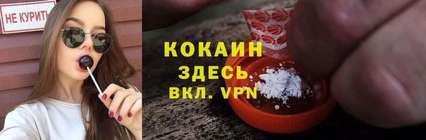 гашик Арсеньев